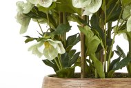 Hill Interiors Large Green Hellebore in Taupe Pot