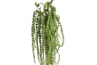 Hill Interiors Green Amaranthus