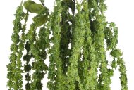 Hill Interiors Green Amaranthus