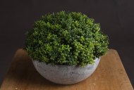 Hill Interiors Small Hebe Globe Pot