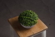 Hill Interiors Small Hebe Globe Pot