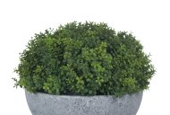 Hill Interiors Small Hebe Globe Pot