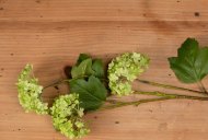 Hill Interiors Green Viburnum Spray