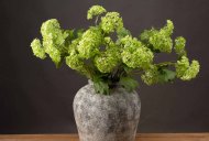 Hill Interiors Green Viburnum Spray