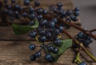 Hill Interiors Viburnum Berry