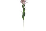 Hill Interiors Stargazer Lily