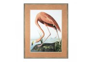 Art Marketing Vintage Flamingo