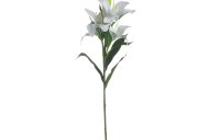 Hill Interiors White Lily