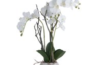 Hill Interiors White Orchid In Stone Pot