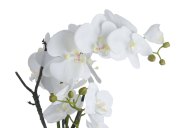 Hill Interiors White Orchid In Stone Pot