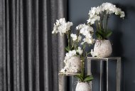 Hill Interiors White Orchid In Stone Pot