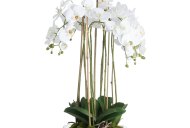 Hill Interiors Large White Orchid In Glass Pot