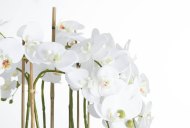 Hill Interiors Large White Orchid In Glass Pot