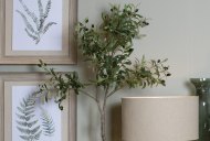 Hill Interiors Calabria Small Olive Tree