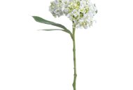 Hill Interiors White Lace Cap Hydrangea