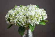 Hill Interiors White Lace Cap Hydrangea