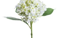 Hill Interiors White Lace Cap Hydrangea