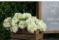 Hill Interiors White Lace Cap Hydrangea