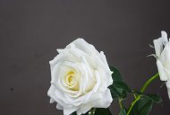 Hill Interiors Large White Garden Rose