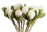 Hill Interiors Closed White Protea