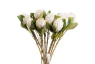 Hill Interiors Closed White Protea