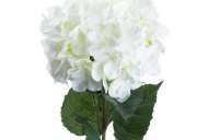 Hill Interiors Single White Hydrangea