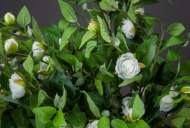 Hill Interiors Cream Gardenia Stem