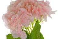 Hill Interiors Single Pink Hydrangea