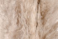 Hill Interiors Cream Pampas grass