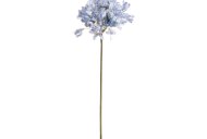 Hill Interiors Light Blue Large Headed Agapanthus