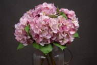 Hill Interiors Shabby Pink Single Hydrangea