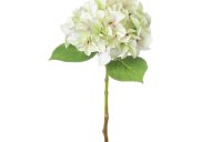 Hill Interiors Shabby Green Single Hydrangea