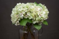 Hill Interiors Shabby Green Single Hydrangea