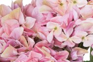 Hill Interiors Shabby Pink Hydrangea Bouquet