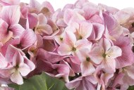 Hill Interiors Shabby Pink Hydrangea Bouquet