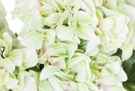 Hill Interiors Shabby Green Hydrangea Bouquet