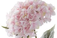 Hill Interiors Giant Pink Hydrangea