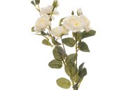 Hill Interiors Soft White Cottage Rose Stem