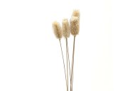 Hill Interiors Bouquet Of Dried Tall Thistle