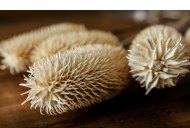 Hill Interiors Bouquet Of Dried Tall Thistle