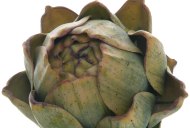 Hill Interiors Real Touch Artificial Artichoke