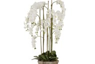 Hill Interiors Large White Orchid In Antique Stone Pot