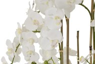 Hill Interiors Large White Orchid In Antique Stone Pot