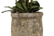 Hill Interiors Large White Orchid In Antique Stone Pot