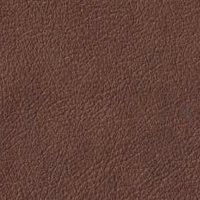 CAT E - LEATHER PASADENA 3080 COGNAC