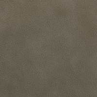 Sea Salt Leather (Option 7)