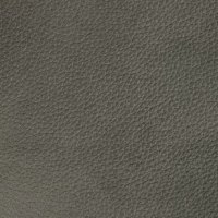 Leather - Frequent Cometa 2876
