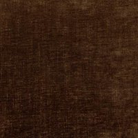 Band D - Dion Brandy