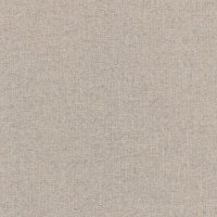 Plain Band A - Denali Cloud