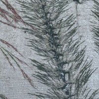 Band Pattern - Sandbanks Moss